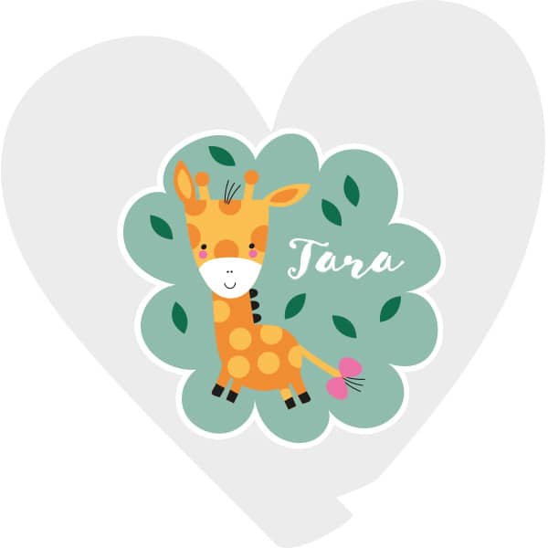 Baby giraffe