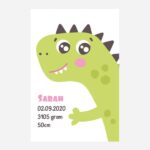 Geboorteposter canvas - Dino - Groen