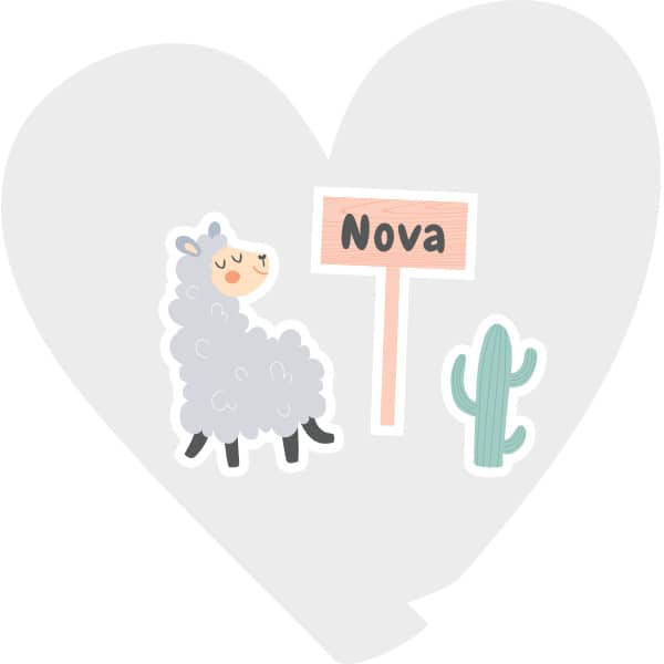 Raamsticker geboorte - Lama met cactus